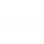 caresse logo 3 3 removebg preview